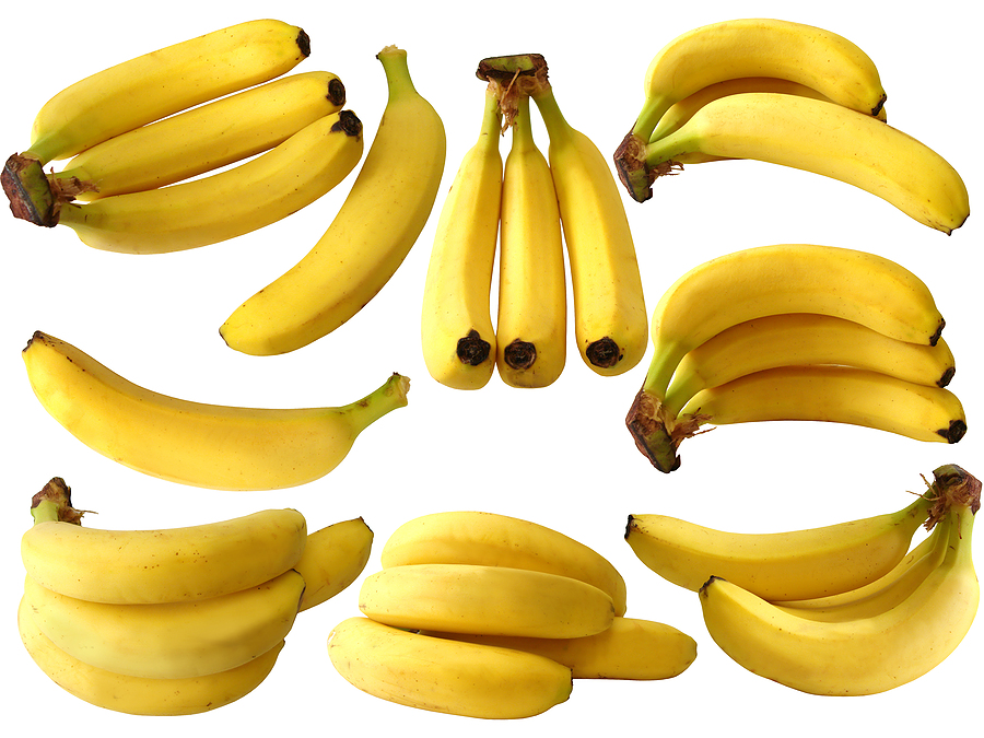 Bananas - landscape